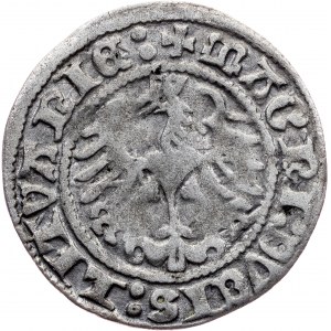 Poland, 1/2 Groschen / Półgrosz 1513, Vilnius