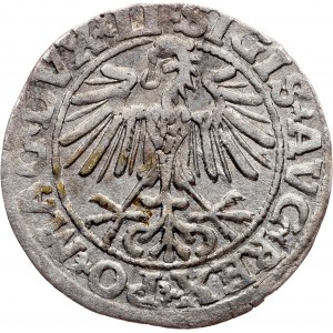 Poland, 1/2 Groschen / Półgrosz 1549, Vilnius