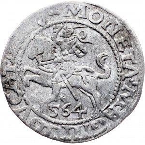 Poland, 1/2 Groschen / Półgrosz 1564, Vilnius
