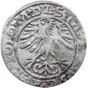 Poland, 1/2 Groschen / Półgrosz 1564, Vilnius