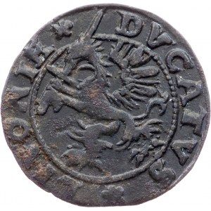 Poland, 1 Schilling 1572, Salaspils