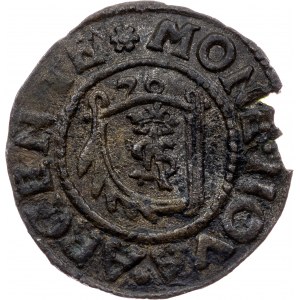 Poland, 1 Schilling 1576, Mitau