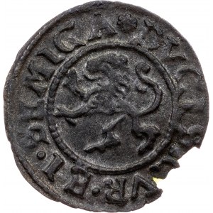 Poland, 1 Schilling 1576, Mitau