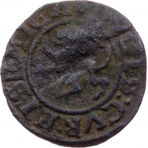 Poland, 1 Schilling 1576, Mitau