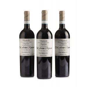 Dal Forno Romano Valpolicella Superiore, 2016, Romano dal Forno