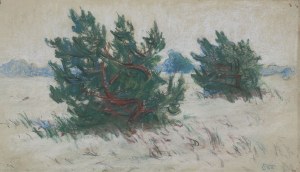 Stanisław Wyspiański, KOSODRZEWINA. KRAJOBRAZ ZIMOWY, 1898