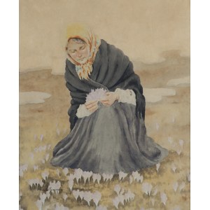 Aleksander Augustynowicz, KROKUSY, OK. 1915