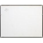 Natalia Lach-Lachowicz (Natalia LL), CONSUMPTION ART, 1973/2008.