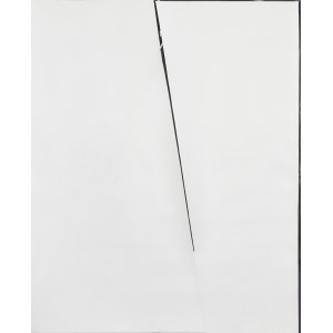 Natalia Załuska, OHNE TITEL, 2013