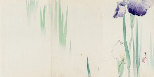 Watanabe Seitei (1851-1918), Irysy, Tokio, 1891