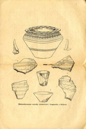 Bohdan Janusz: Prehistoric pottery workshop in Hoolyn near Kalusz, only edition 1924