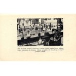 Lwów na granicy dwóch epok, wydanie jedyne z 1934, awangarda