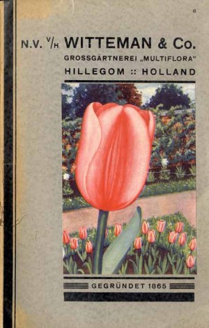 Witteman & Co Multiflora Hillegom, holandský záhradnícky katalóg cca 1930