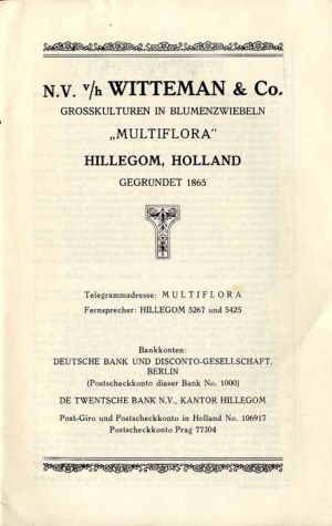 Witteman & Co Multiflora Hillegom, Dutch horticultural catalog ca 1930