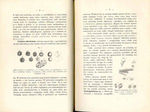 Gustaw Piotrowski: Fizyologia zwierząt ssących domowych, wydanie jedyne z 1895