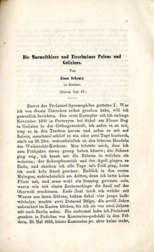 Die Murmelthiere und Zieselmäuse Polens und Galiziens / The marmots and gophers of Poland and Galicia 1865