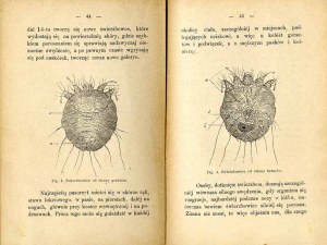 Joseph Starkman: The skin and its diseases as also treatment, prevention and care, 1889