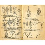 Emil Wyrobek: Biologja. Cz.1: Botanika, wydanie jedyne z 1930