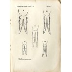 Annales Musei Zoologici Polonici. T.9. Rok 1930-1933