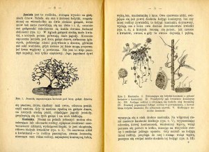 Maximilian Heilpern: Jak obiloviny a brambory onemocní a jak je chránit před nemocemi, 1921