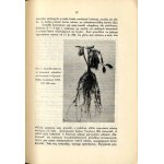 Soja. Jej historja, znaczenie gospodarcze, uprawa, użytkowanie..., wyd. jedyne 1933