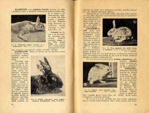 Jerzy Szuman: Krankheiten der Kaninchen; einzige Ausgabe von 1937