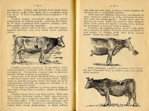 The Home Vet. Diseases in cows, 1937 only edition