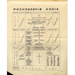 Jerzy Zakrzewski: Hodowla ogólna zwierząt gospodarskich dla wyższych studjów roln., 1923