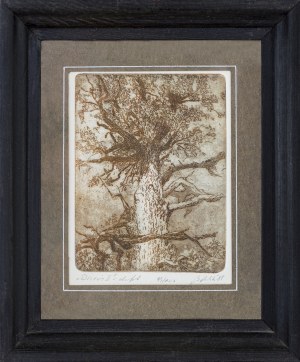 Bronislaw Bolek, Tree II, 1988