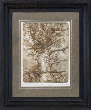 Bronisław Bolek, Drzewo II, 1988