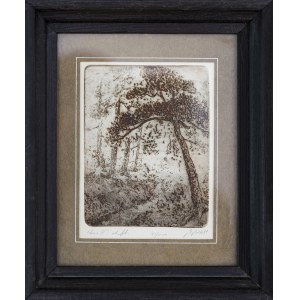 Bronislaw Bolek, Forest IV, 1989