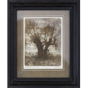 Bronislaw Bolek, Willow, 1987
