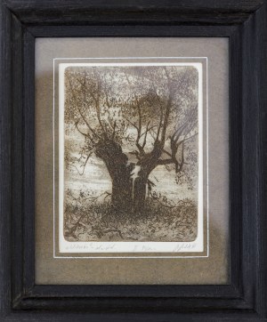 Bronisław Bolek, Wierzba, 1987