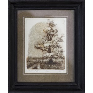 Bronislaw Bolek, Oak, 1989