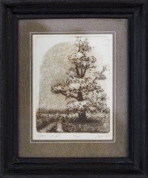 Bronisław Bolek, Dąb, 1989