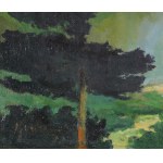 Włodzimierz KARCZ (1937-2008), Halny (1999)
