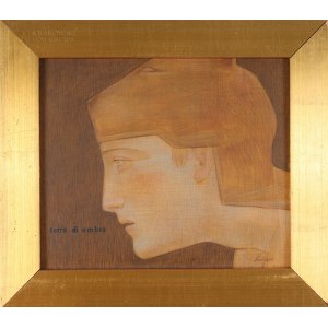 Michał ŚWIDER (1962-2019), Terra di ombra