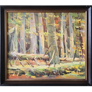 Sławomir Mieleszko (1938-2021), Stary las, 1995