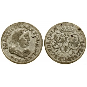 Polska, szóstak, 1684, Bydgoszcz