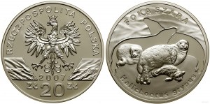 Polonia, 20 zloty, 2007, Varsavia