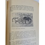 ROK II - III Spoločnosť priateľov výtvarného umenia v Radome ILUSTRÁCIE