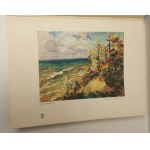 FINE ARTS VINTAGE X 1934