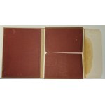 DAS FARBIGE MALERBUCH (Libro dei colori del pittore) con 72 tavole