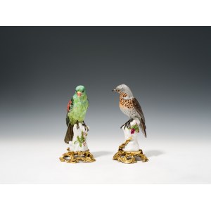 Pair of birds