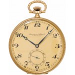 IWC Schaffhausen: Tailcoat watch