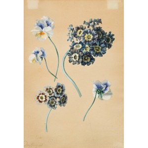 Moritz Michael Daffinger: Blumenstudie mit Primeln und Hornveilchen