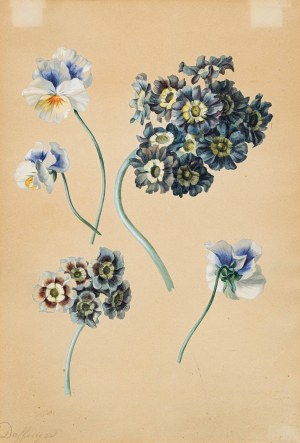 Moritz Michael Daffinger: Blumenstudie mit Primeln und Hornveilchen