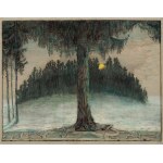 Emilie Mediz-Pelikan: Lärchenwald bei Vollmond