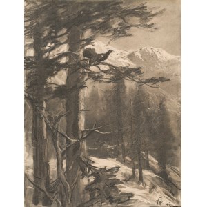 Franz X. von Pausinger: Balzender Auerhahn