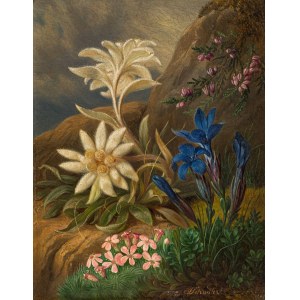 Josef Schuster: Edelweiß, Leimkraut, Besenheide und Enzian